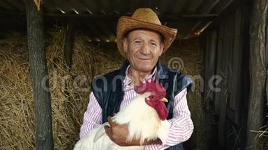 一个戴着草帽的老农夫正抱着一只活生生的白公鸡。 干草上一只白公鸡的画像